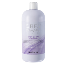 Шампунь тонуючий для натурального сивого та блондованного волосся Inebrya Grey By Day Shampoo 1000 мл