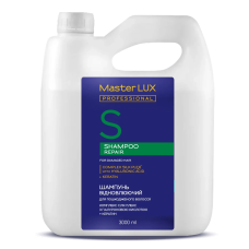 Шампунь відновлюючий для пошкодженого волосся REPAIR Master LUX 3000 мл